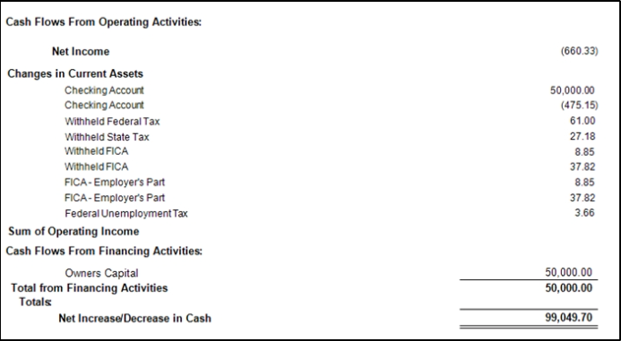 Cash flow report